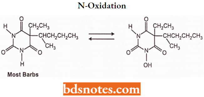 Sedatives And Hypnotics N-Oxidation