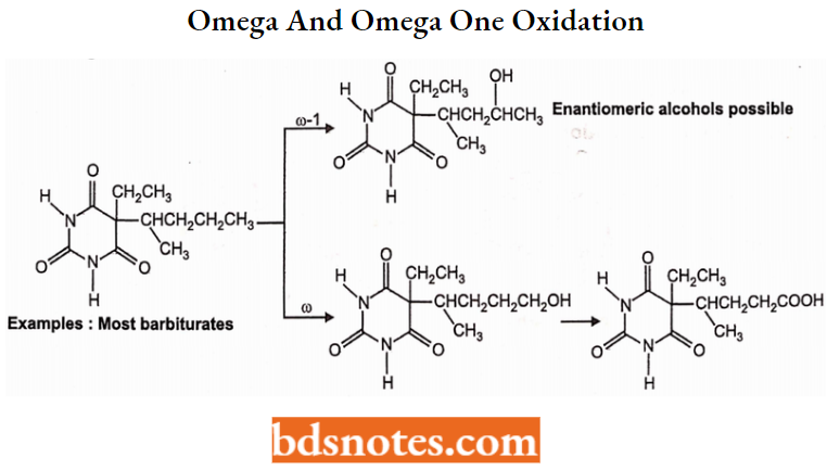 Sedatives And Hypnotics Omega And Omega One Oxidation