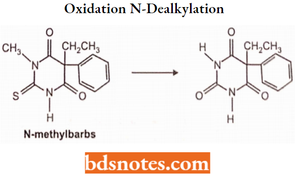 Sedatives And Hypnotics Oxidation N-Dealkylation
