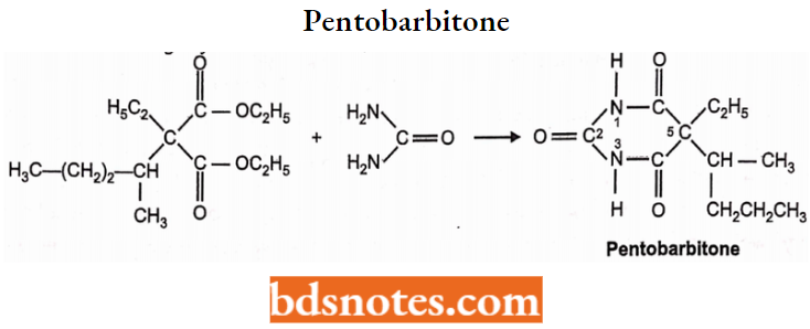 Sedatives And Hypnotics Pentobarbitone Or Pentobarbital