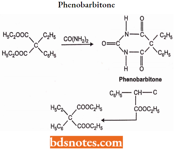 Sedatives And Hypnotics Phenobarbitone