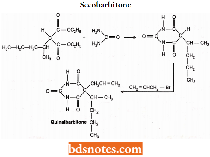 Sedatives And Hypnotics Secobarbitone Or Secobarbital