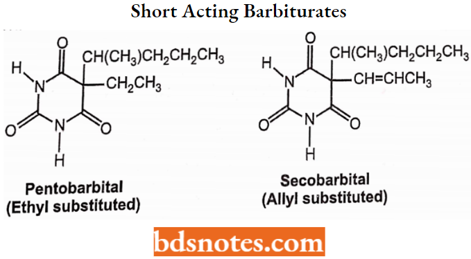 Sedatives And Hypnotics Short Acting Barbiturates