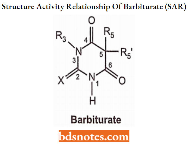 Sedatives And Hypnotics Structure Activity Relationship Of Barbiturate (SAR)