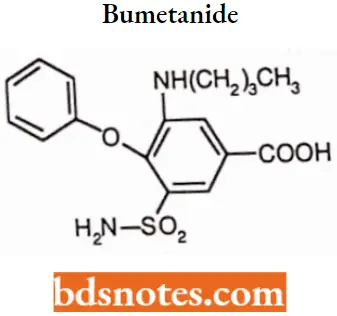Diuretics Bumetanide