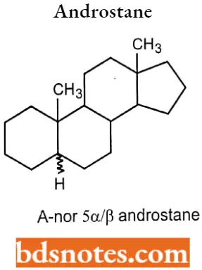 Drugs Acting On Endocrine System Androstane