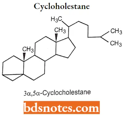 Drugs Acting On Endocrine System Cycloholestane