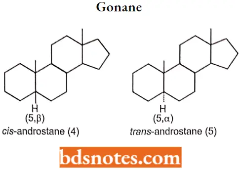 Drugs Acting On Endocrine System Gonane Cis And Trans.