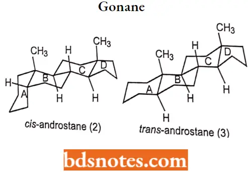 Drugs Acting On Endocrine System Gonane Cis And Trans