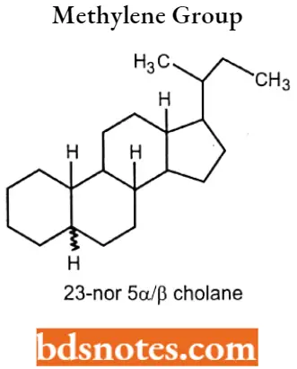 Drugs Acting On Endocrine System Methylene Group