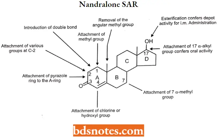 Drugs Acting On Endocrine System Nandralone SAR