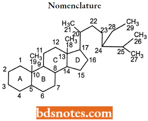 Drugs Acting On Endocrine System Nomenclature