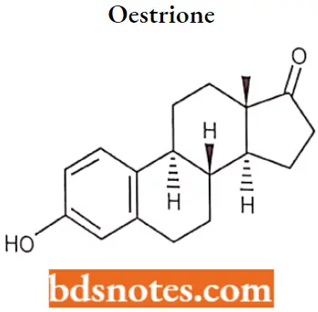 Drugs Acting On Endocrine System Oestrione