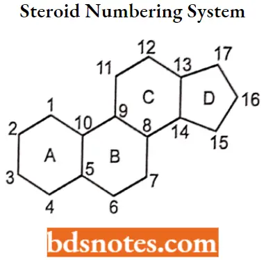 Drugs Acting On Endocrine System Steroid Numbering System