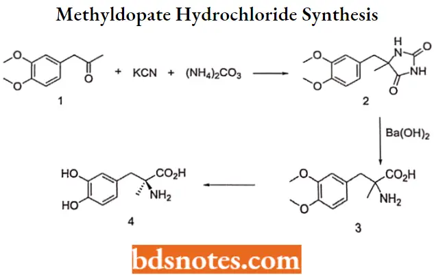Hypertensive Agents Methyldopate Hydrochloride Synthesis
