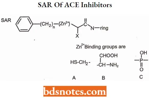Hypertensive Agents SAR Of ACE Inhibitors
