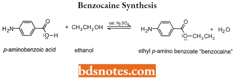 Local Anaesthetics Benzocaine Synthesis