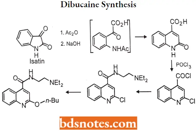 Local Anaesthetics Dibucaine Synthesis
