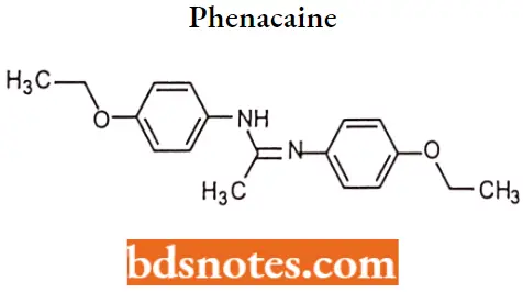 Local Anaesthetics Phenacaine