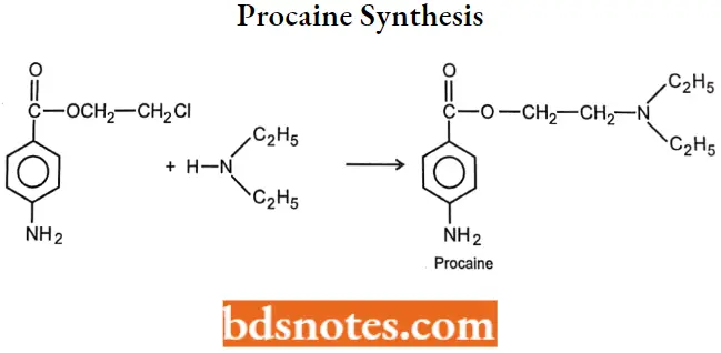 Local Anaesthetics Procaine Synthesis