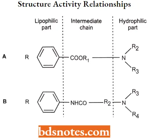 Local Anaesthetics Structure Activity Relationships