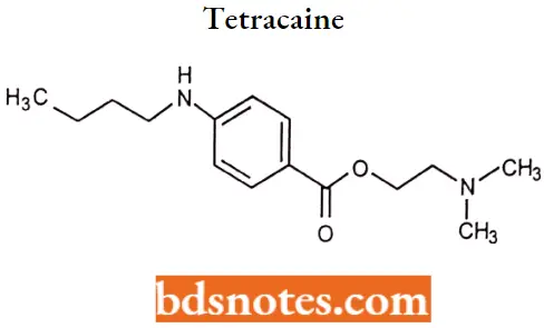 Local Anaesthetics Tetracaine
