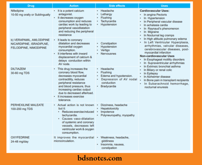 Beta Blockers: Classification, Actions, Side Effects, and Clinical Uses ...