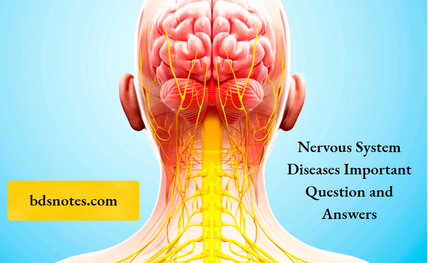 Nervous System Diseases Important Question and Answers