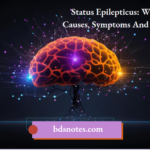 Status Epilepticus What It Is Causes Symptoms And Treatment
