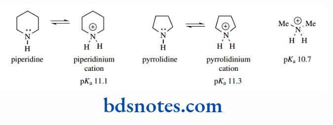 Acids And Bases Basicity of nitrogen heterocycles