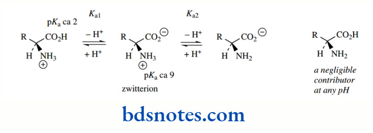 Acids And Bases Consider the two pKa values.