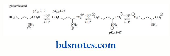 Acids And Bases Glutamic Acid