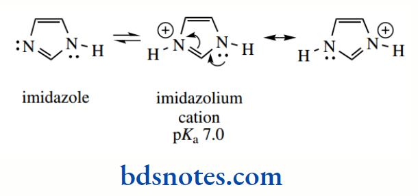 Acids And Bases Imidazole And Imidazolium