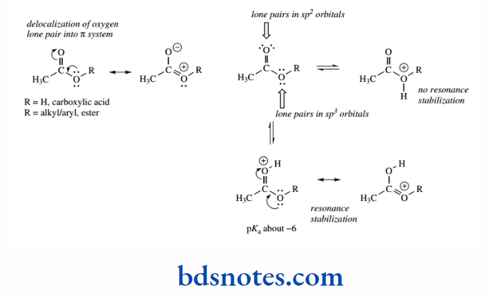 Acids And Bases In the case of the sulfur analogues thioesters and Thioacids