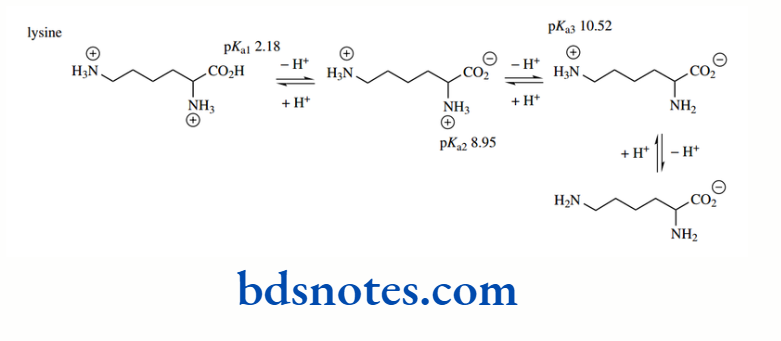 Acids And Bases Physiological