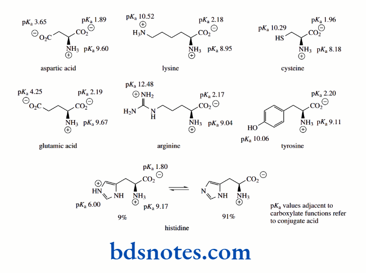 Acids And Bases Pka values Adjacent To Carboxylate Functions Refer To Conjugate Acids