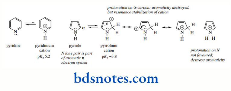 Acids And Bases Pyridine and Pyrrole