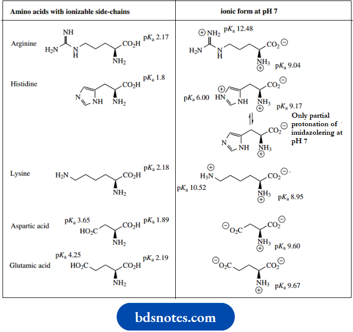 Amino Acids Peptides And Proteins Amino Acids And Ionic Form pH 7