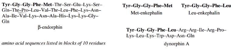 Amino Acids Peptides And Proteins Amino Acids Sequences