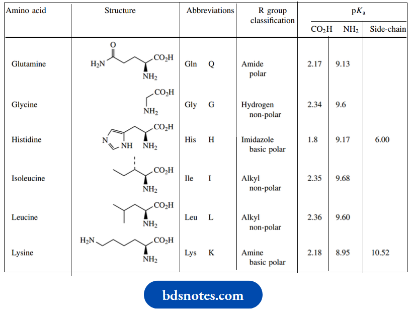 Amino Acids Peptides And Proteins Amino Acids Structures And Standard Abbreviations.