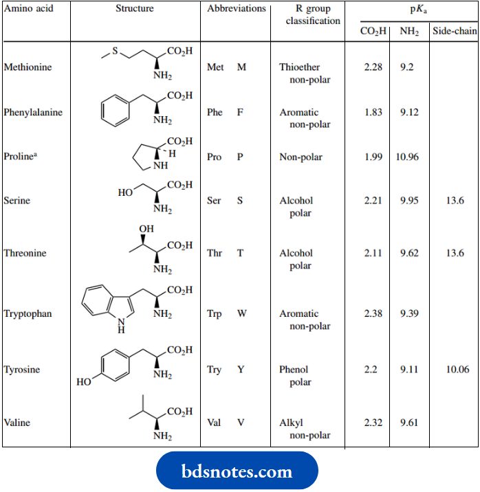 Amino Acids Peptides And Proteins Amino Acids Structures And Standard Abbreviations..