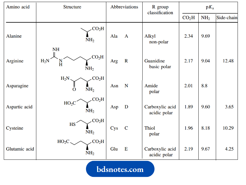Amino Acids Peptides And Proteins Amino Acids Structures And Standard Abbreviations