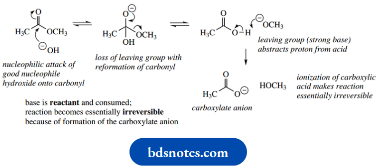 Amino Acids Peptides And Proteins Base Hydrolysis Of Esters