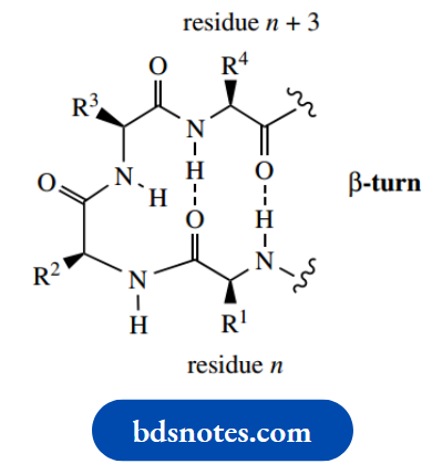Amino Acids Peptides And Proteins Beta Turn
