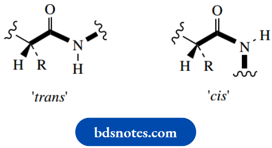 Amino Acids Peptides And Proteins Cis And Trans