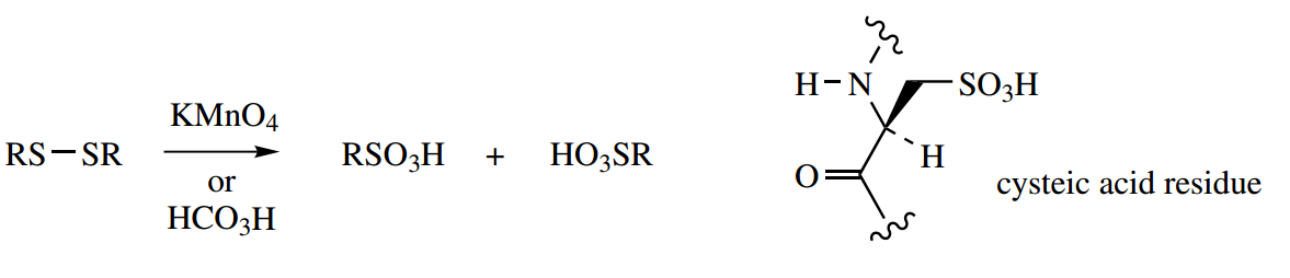 Amino Acids Peptides And Proteins Cysteic Acid Residue