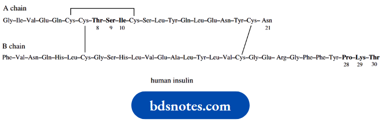 Amino Acids Peptides And Proteins Human Insulin