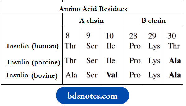 Amino Acids Peptides And Proteins Mammalian Insulins