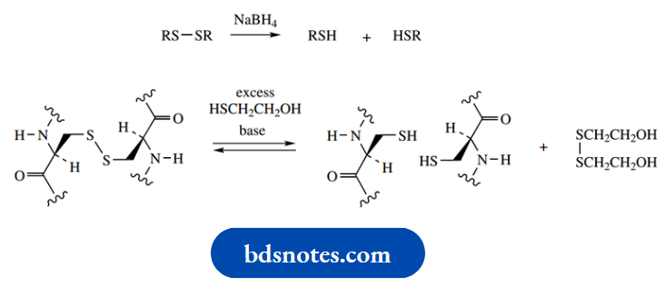 Amino Acids Peptides And Proteins Mercaptoethanol