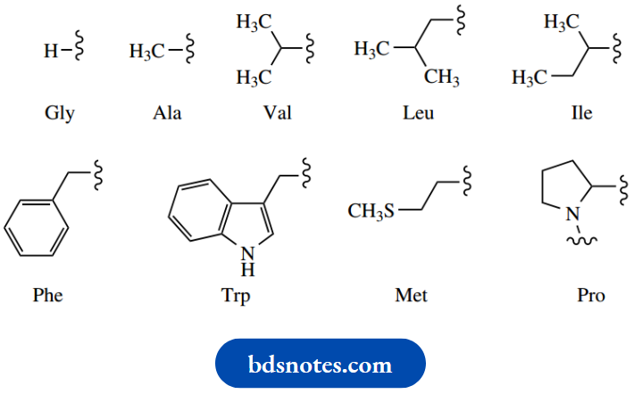 Amino Acids Peptides And Proteins Non Polar Hydrophobic Side Chains